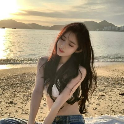 绽放的玫瑰